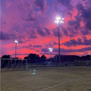 Meet your Posher, Lucy